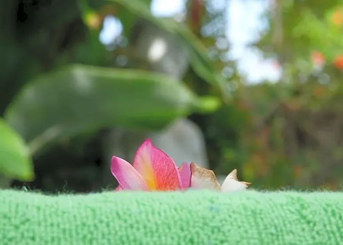 Mahayana 3br -7min Access & 10min To Canggu